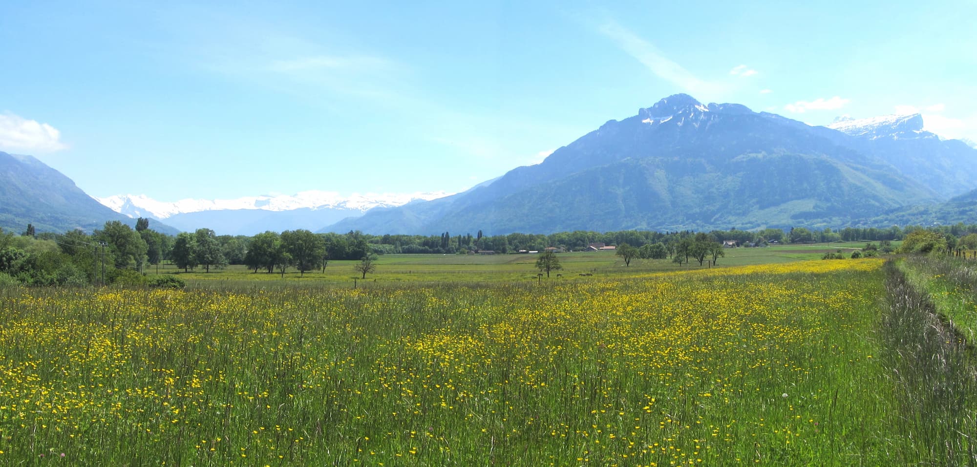 Plaine agricole d'Amancy