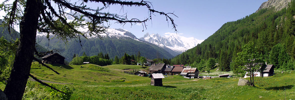 Tre le Champ - Chamonix