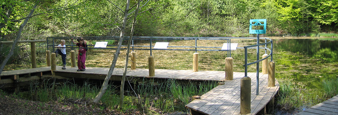Site Natura 2000 du plateau de Gavot