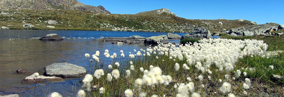 Lac de montagne