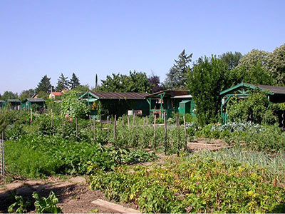 Jardins familiaux